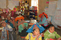 Insamlingsstiftelsen Perus vänner är ett privat stödprojekt